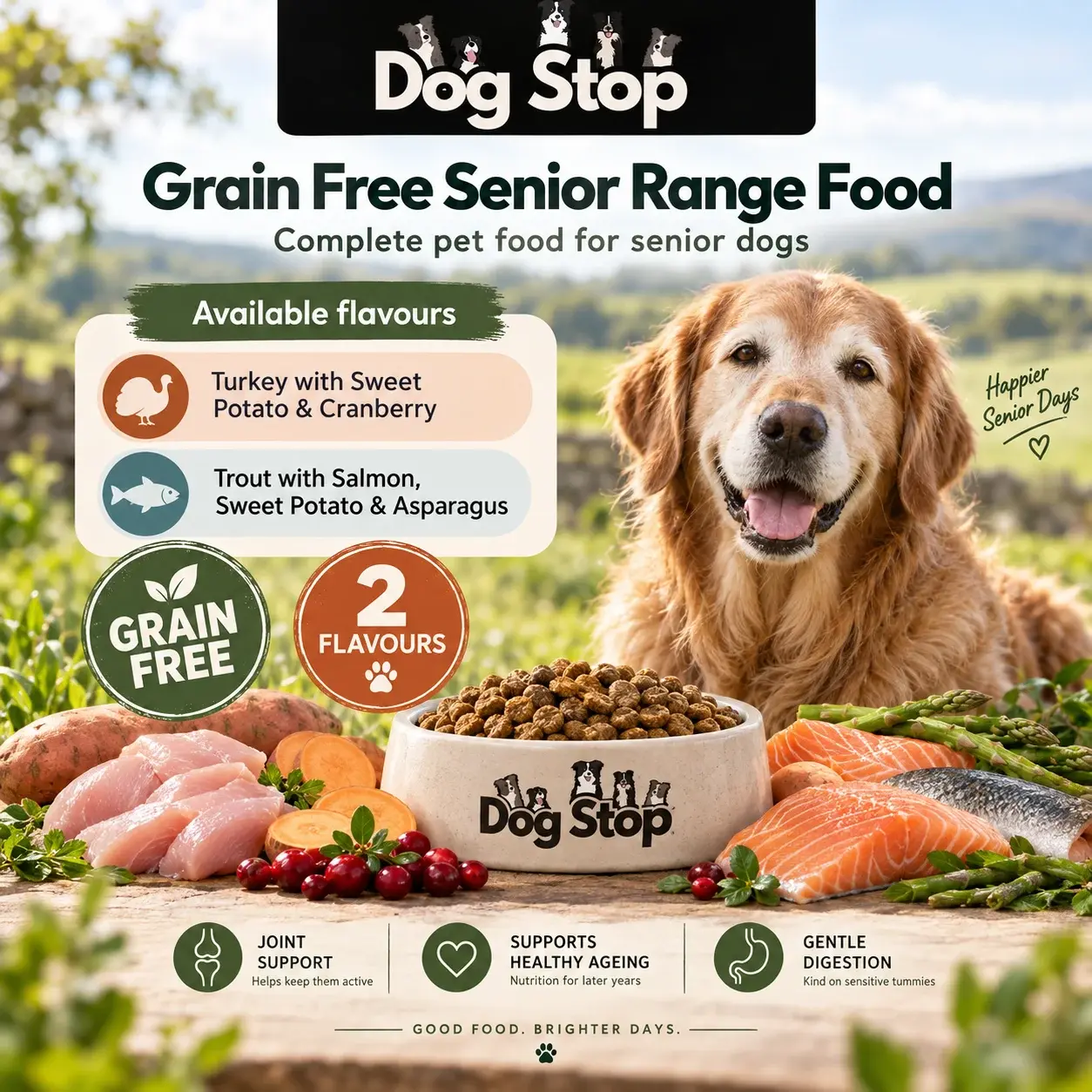 Grain Free Senior Range Food, natural dog treats from Dog Stop