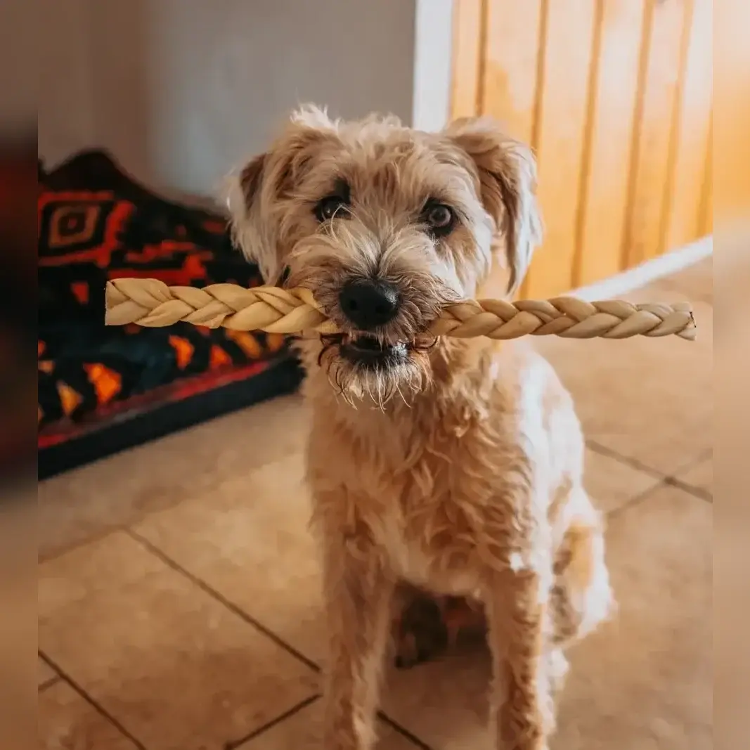 Lamb Braids, natural dog treats from Dog Stop