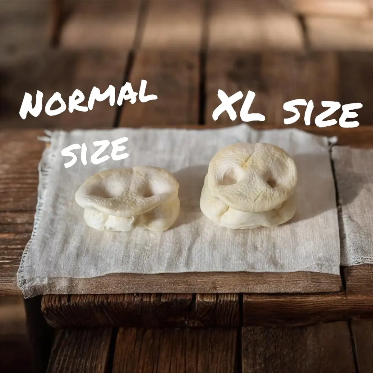 Extra Large Puffed Pig Snout - Dog Stop natural dog treat