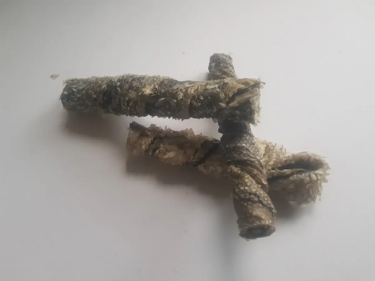 Fish dog treats from Dog Stop