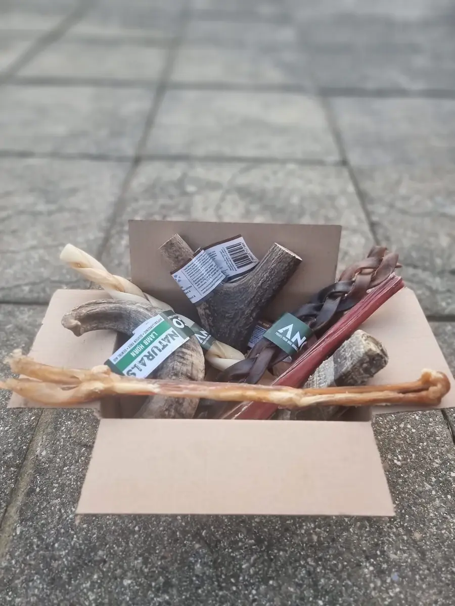 Long Lasting Treat Box - Dog Stop natural dog treat