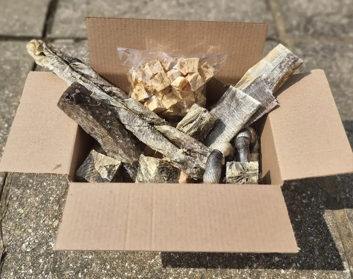 Oh my Cod! Treat Box - Dog Stop natural dog treat