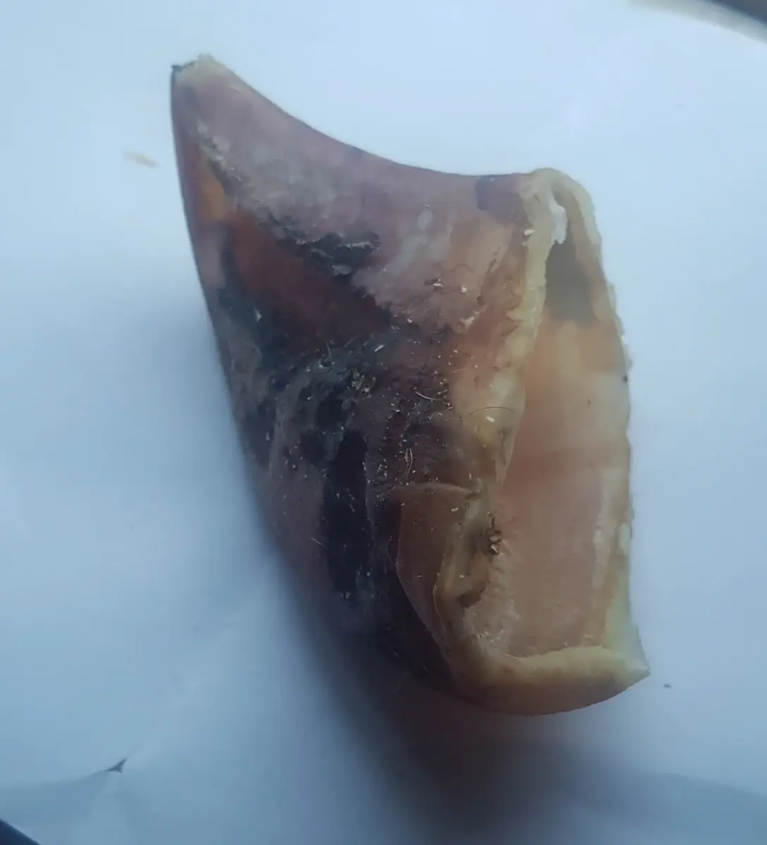 Unfilled Cow Hooves - Dog Stop natural dog treat